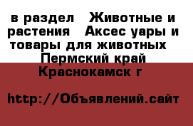  в раздел : Животные и растения » Аксесcуары и товары для животных . Пермский край,Краснокамск г.